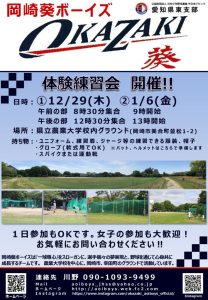 岡崎葵ボーイズ入団募集チラシ_2022_11のサムネイル